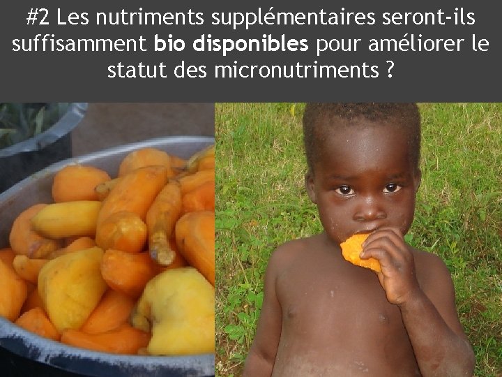 #2 Les nutriments supplémentaires seront-ils suffisamment bio disponibles pour améliorer le statut des micronutriments