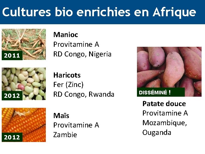 Cultures bio enrichies en Afrique 2011 Manioc Provitamine A RD Congo, Nigeria 2012 Haricots