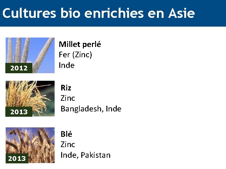 Cultures bio enrichies en Asie 2012 Millet perlé Fer (Zinc) Inde 2013 Riz Zinc