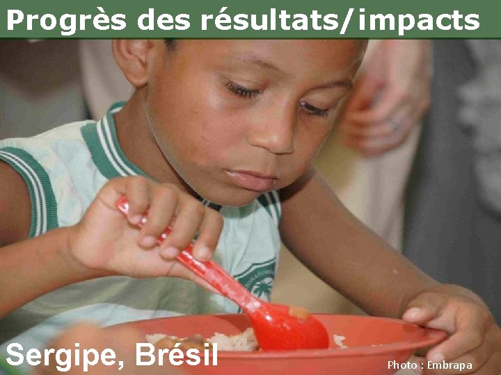 Progrès des résultats/impacts Sergipe, Brésil Photo : Embrapa 