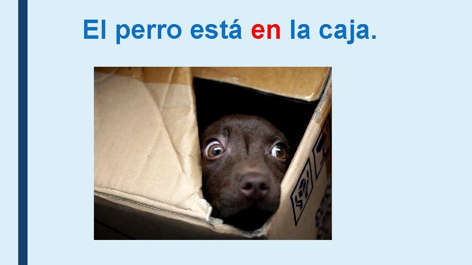 El perro está en la caja. El perro está en la caja.
