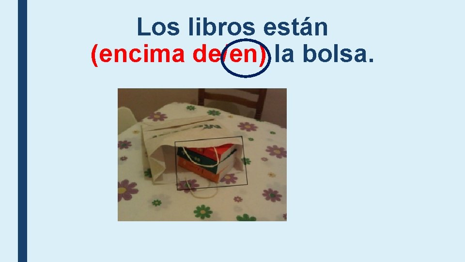Los libros están (encima de/en) la bolsa. Los libros están (encima de/en) la bolsa.