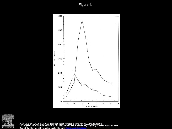 Figure 4: Journal of Biological Chemistry 1995 27015598 -15606 DOI: (10. 1074/jbc. 270. 26.