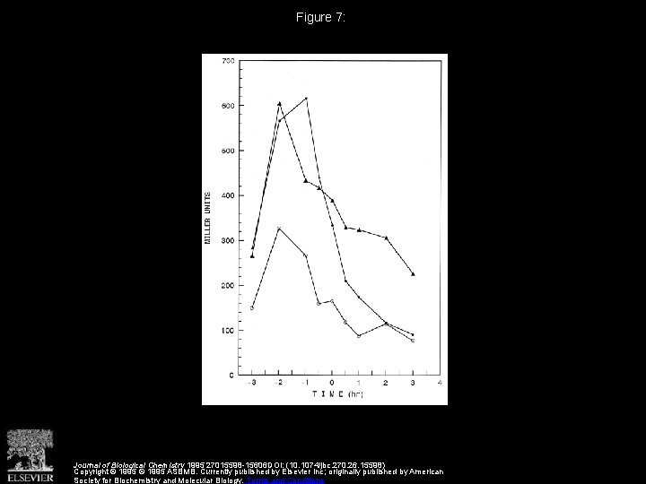 Figure 7: Journal of Biological Chemistry 1995 27015598 -15606 DOI: (10. 1074/jbc. 270. 26.