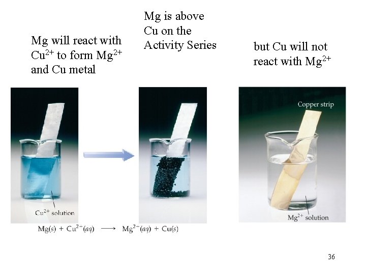 Mg will react with Cu 2+ to form Mg 2+ and Cu metal Mg