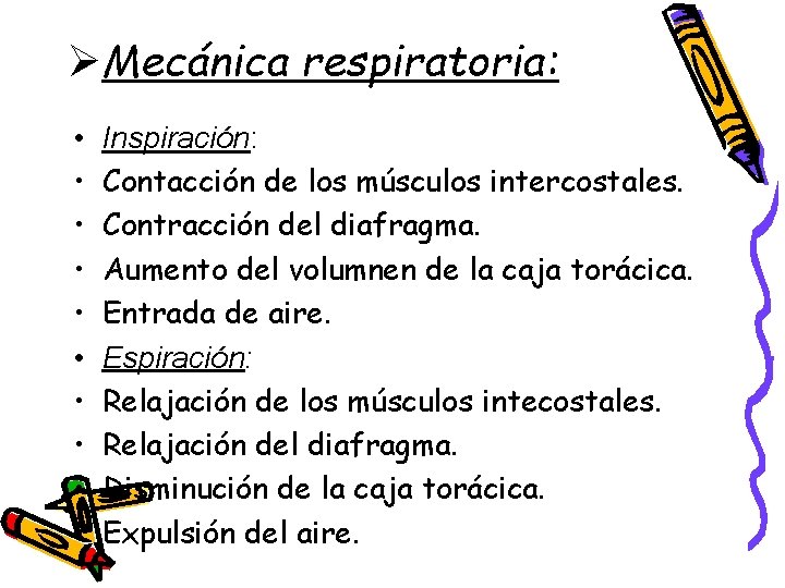 ØMecánica respiratoria: • • • Inspiración: Contacción de los músculos intercostales. Contracción del diafragma.