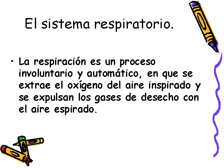 El sistema respiratorio. • La respiración es un proceso involuntario y automático, en que