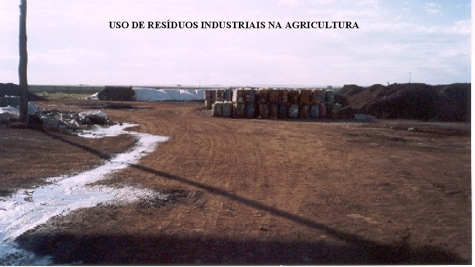 USO DE RESÍDUOS INDUSTRIAIS NA AGRICULTURA 