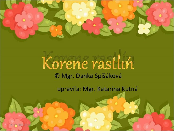 Korene rastlín © Mgr. Danka Spišáková upravila: Mgr. Katarína Kutná 20. 12. 2021 10: