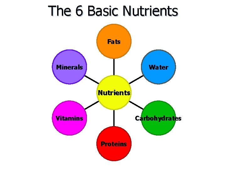 The 6 Basic Nutrients Fats Minerals Water Nutrients Vitamins Carbohydrates Proteins 