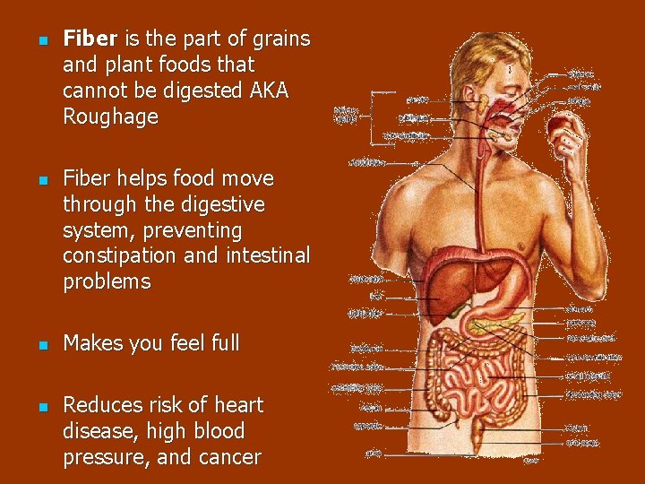 n n Fiber is the part of grains and plant foods that cannot be