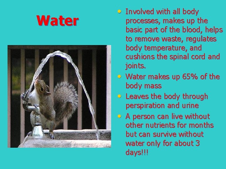 Water • Involved with all body • • • processes, makes up the basic Water • Involved with all body • • • processes, makes up the basic