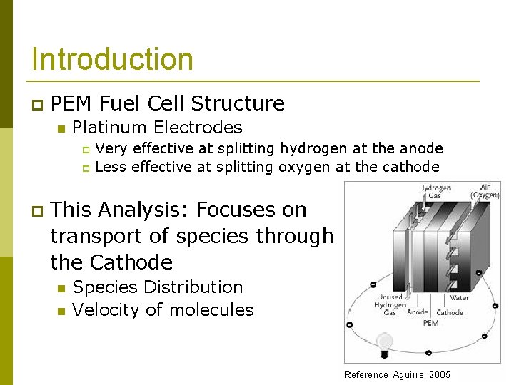 Introduction PEM Fuel Cell Structure Platinum Electrodes Very effective at splitting hydrogen at the