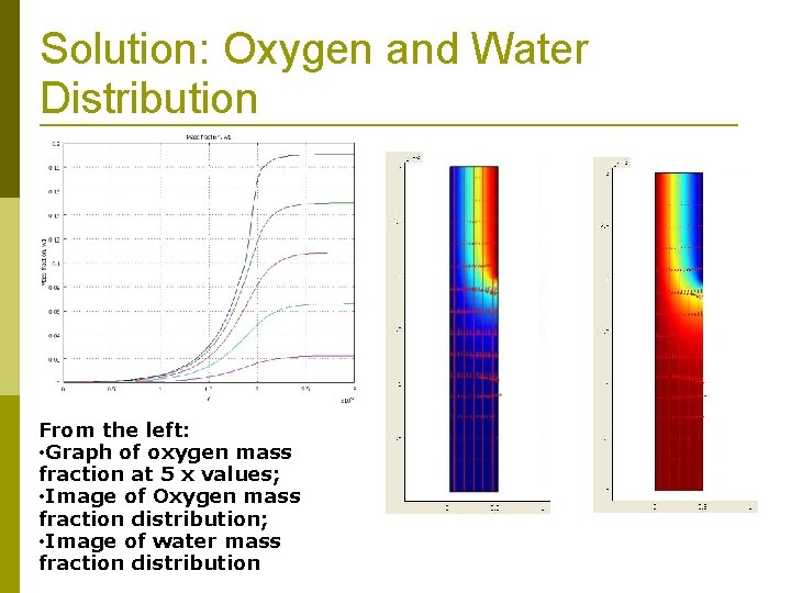 Solution: Oxygen and Water Distribution From the left: • Graph of oxygen mass fraction