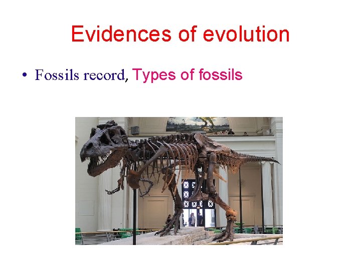 Evidences of evolution • Fossils record, Types of fossils 