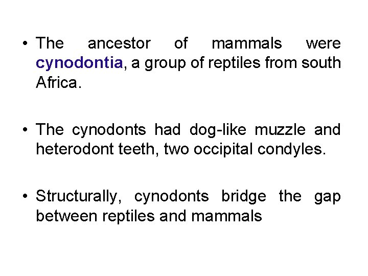  • The ancestor of mammals were cynodontia, a group of reptiles from south
