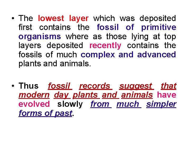  • The lowest layer which was deposited first contains the fossil of primitive