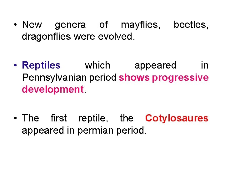  • New genera of mayflies, dragonflies were evolved. beetles, • Reptiles which appeared