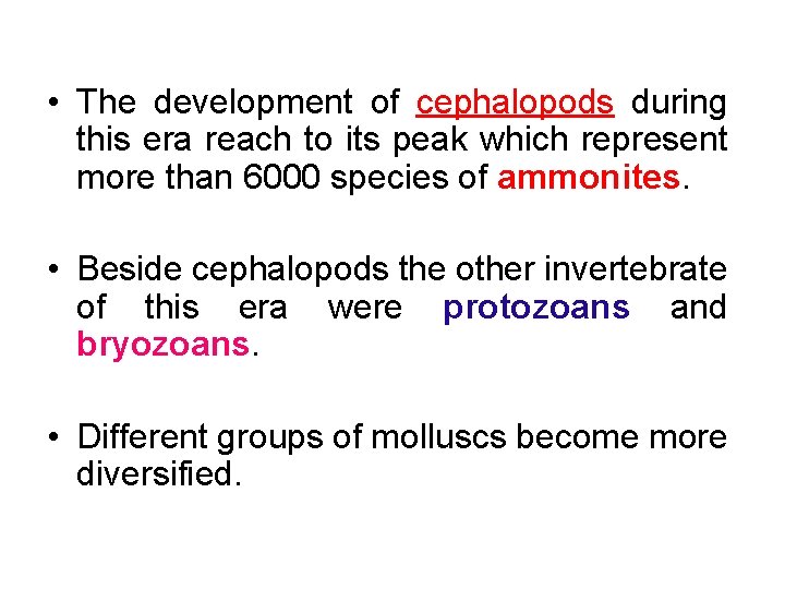  • The development of cephalopods during this era reach to its peak which