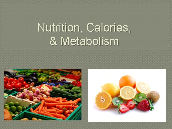 Nutrition, Calories, & Metabolism 