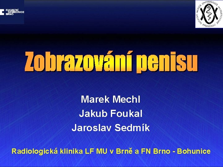 Marek Mechl Jakub Foukal Jaroslav Sedmík Radiologická klinika LF MU v Brně a FN