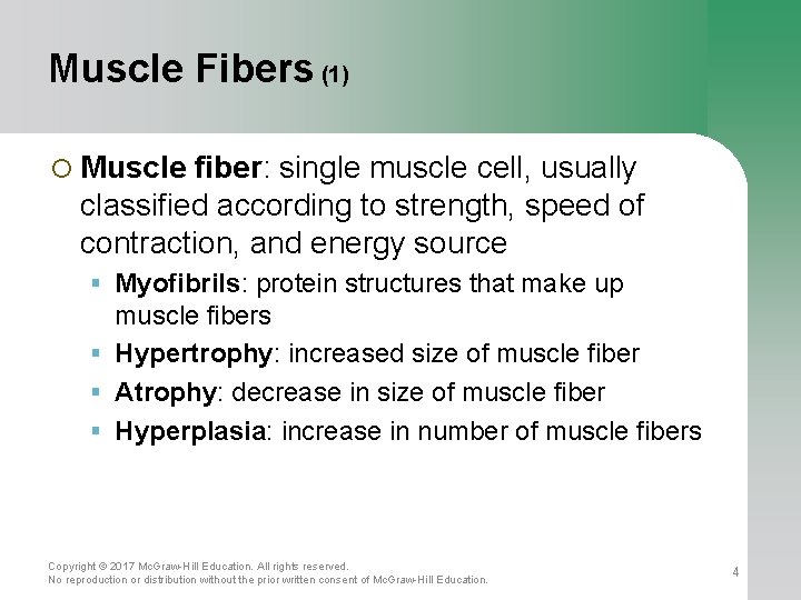 Muscle Fibers (1) ¡ Muscle fiber: single muscle cell, usually classified according to strength,