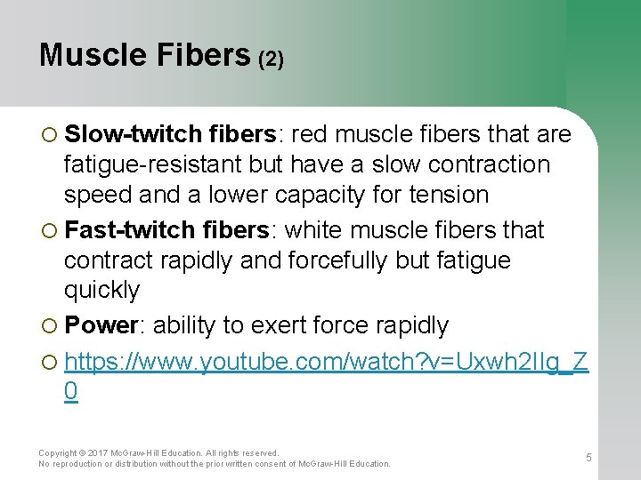 Muscle Fibers (2) ¡ Slow-twitch fibers: red muscle fibers that are fatigue-resistant but have