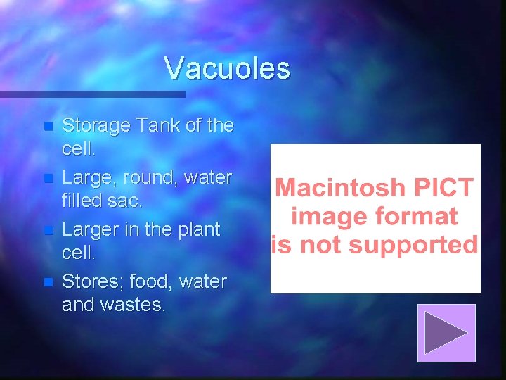 Vacuoles n n Storage Tank of the cell. Large, round, water filled sac. Larger
