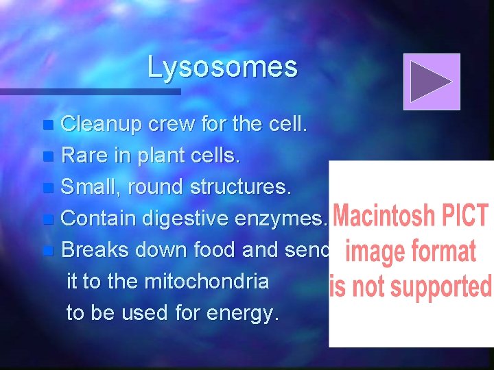Lysosomes Cleanup crew for the cell. n Rare in plant cells. n Small, round