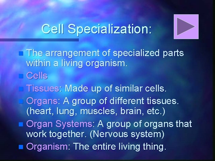 Cell Specialization: The arrangement of specialized parts within a living organism. n Cells n