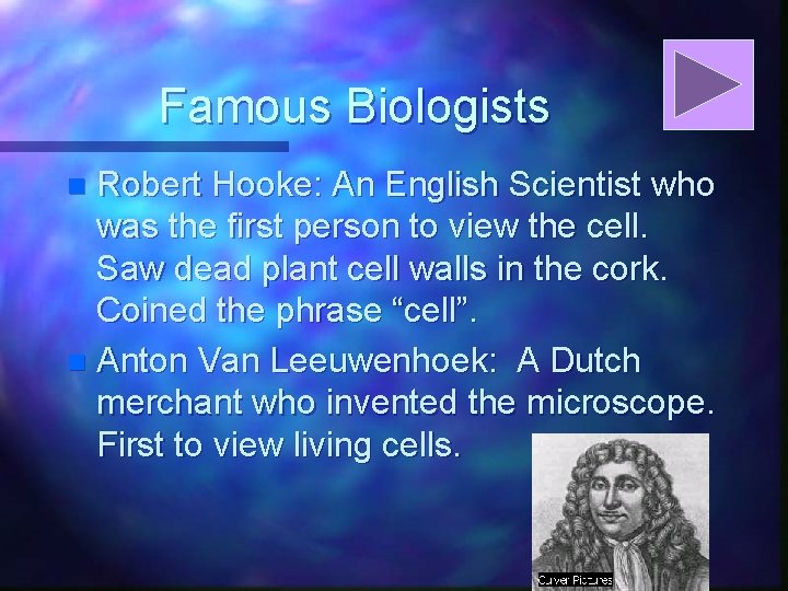 Famous Biologists Robert Hooke: An English Scientist who was the first person to view