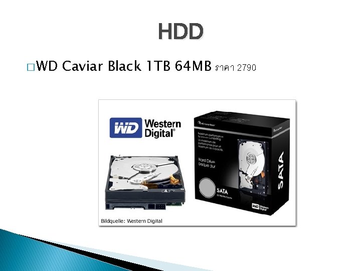 HDD � WD Caviar Black 1 TB 64 MB ราคา 2790 