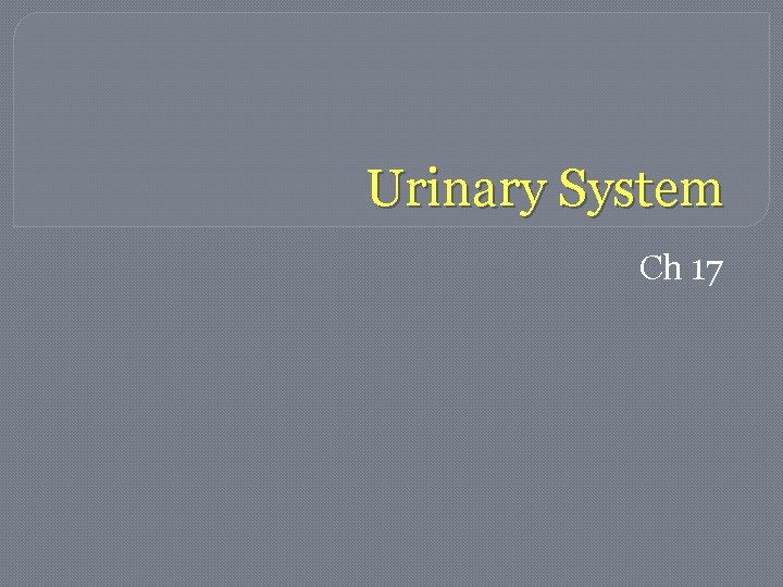 Urinary System Ch 17 Urinary System Ch 17