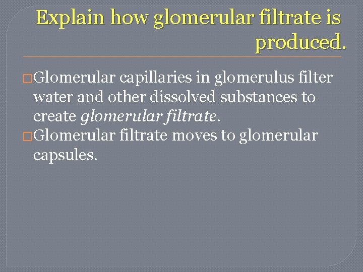 Explain how glomerular filtrate is produced. �Glomerular capillaries in glomerulus filter water and other Explain how glomerular filtrate is produced. �Glomerular capillaries in glomerulus filter water and other