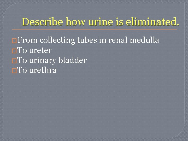 Describe how urine is eliminated. �From collecting tubes in renal medulla �To ureter �To Describe how urine is eliminated. �From collecting tubes in renal medulla �To ureter �To