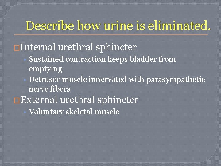 Describe how urine is eliminated. �Internal urethral sphincter • Sustained contraction keeps bladder from Describe how urine is eliminated. �Internal urethral sphincter • Sustained contraction keeps bladder from