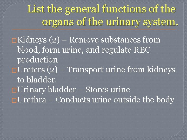 List the general functions of the organs of the urinary system. �Kidneys (2) – List the general functions of the organs of the urinary system. �Kidneys (2) –