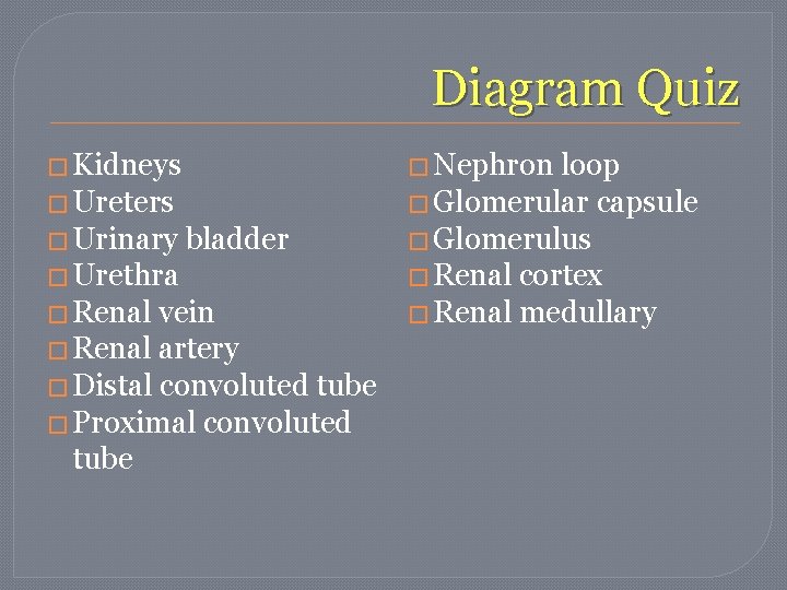 Diagram Quiz � Kidneys � Nephron � Ureters � Urinary bladder � Urethra � Diagram Quiz � Kidneys � Nephron � Ureters � Urinary bladder � Urethra �