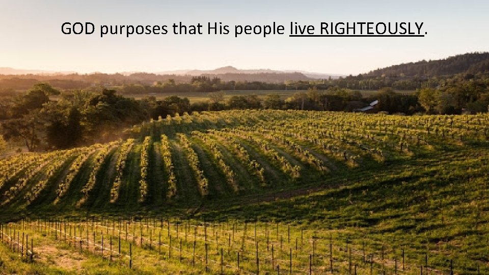 GOD purposes that His people live RIGHTEOUSLY. 