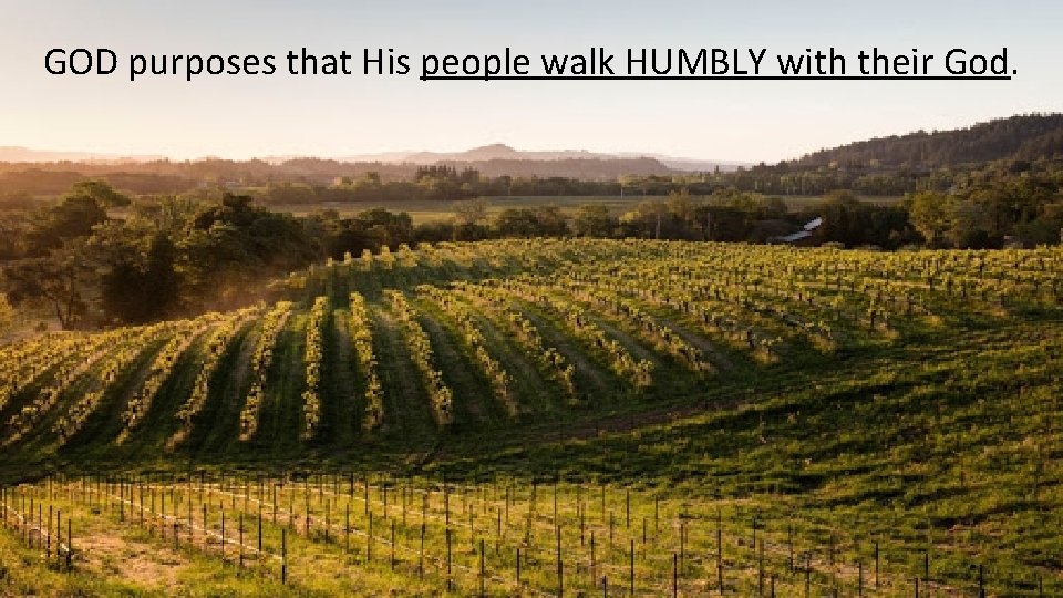GOD purposes that His people walk HUMBLY with their God. 