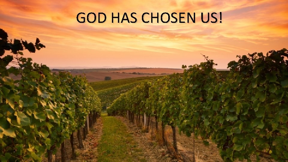 GOD HAS CHOSEN US! 