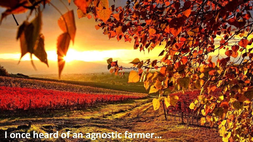 I once heard of an agnostic farmer… 