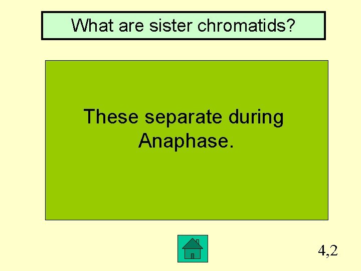 What are sister chromatids? These separate during Anaphase. 4, 2 