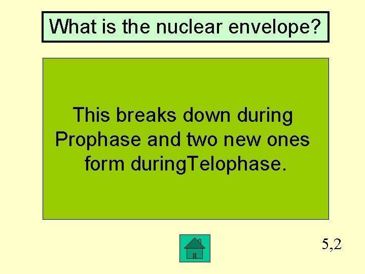 What is the nuclear envelope? This breaks down during Prophase and two new ones