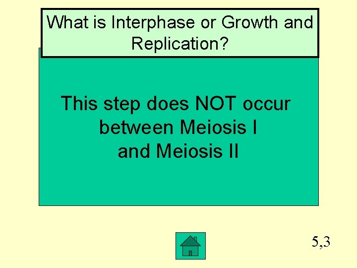 What is Interphase or Growth and Replication? This step does NOT occur between Meiosis
