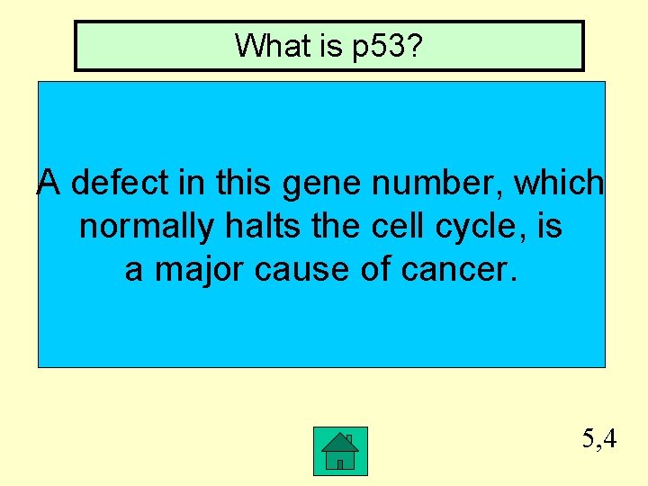 What is p 53? A defect in this gene number, which normally halts the