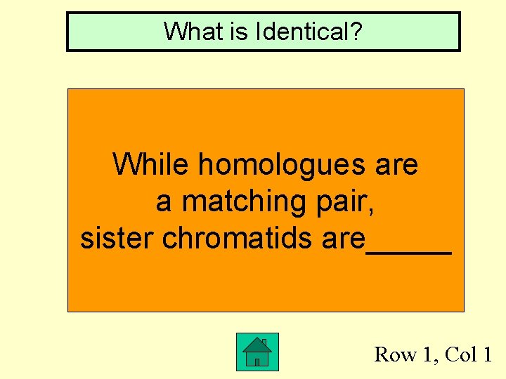 What is Identical? While 146 homologues are bps a matching pair, sister chromatids are_____