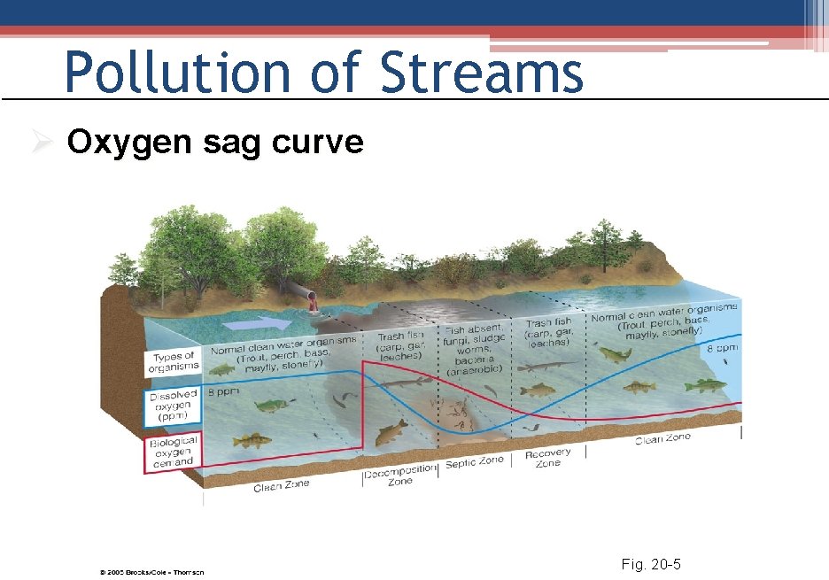 Pollution of Streams Ø Oxygen sag curve Fig. 20 -5 