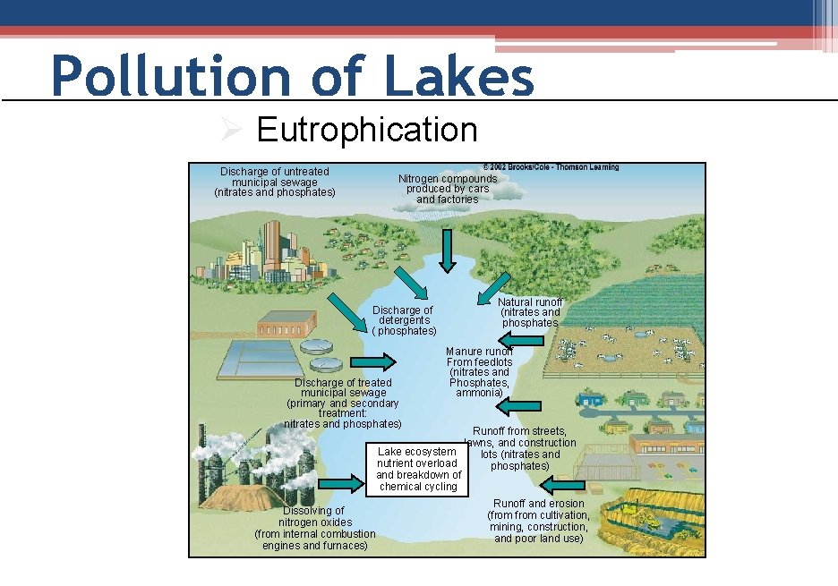 Pollution of Lakes Ø Eutrophication Discharge of untreated municipal sewage (nitrates and phosphates) Nitrogen