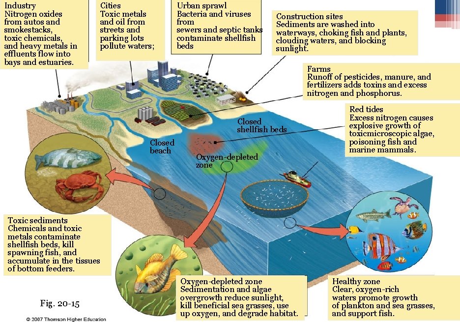 Industry Nitrogen oxides from autos and smokestacks, toxic chemicals, and heavy metals in effluents